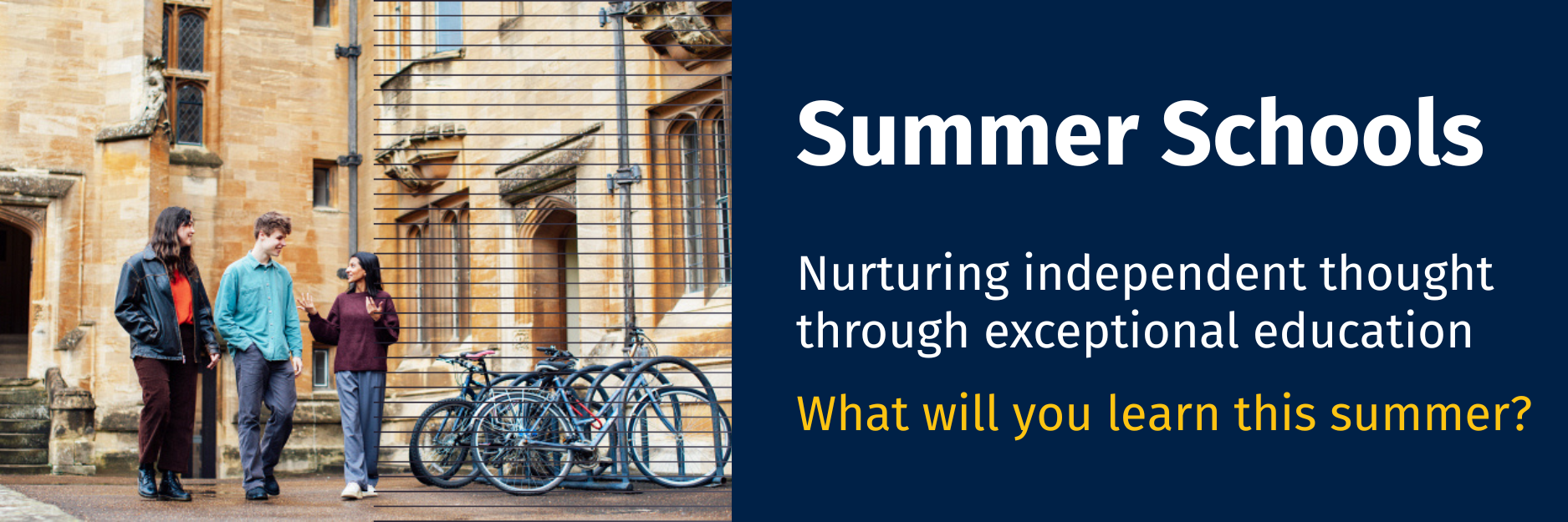 summer schools banner